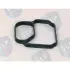 SEALING STRIP SLP TNL636 (фото 1)