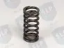 VALVE SPRING SLP VF3210 (фото 2)