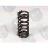 VALVE SPRING SLP VF3210 (фото 1)