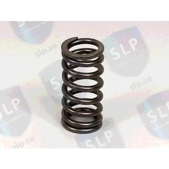 VALVE SPRING SLP VF3210