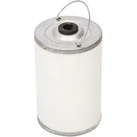 Fuel filter, cartridge. Фильтр топливный, вставка SOFIMA S2162N
