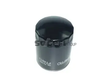 SOGEFI PRO FT4813