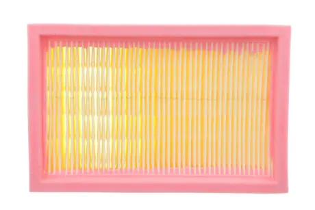 Фільтр плоский складчатий (WD 4/5/6) SOLGY 103150