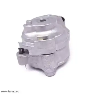 Натяжитель ремня SOLGY 110013