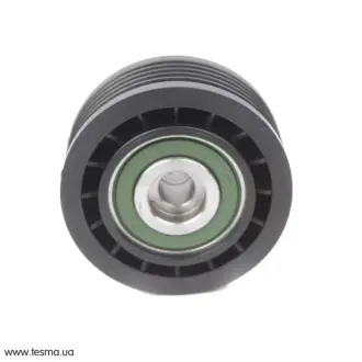 Ролик паразитный SOLGY 110061
