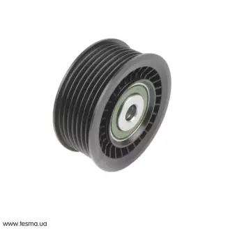 Ролик паразитный SOLGY 110066