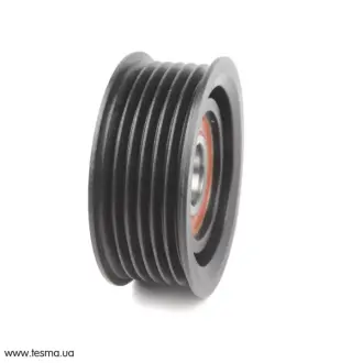 Ролик паразитный SOLGY 110102