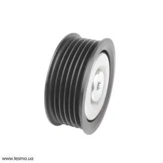 Ролик паразитный SOLGY 110114