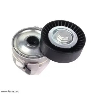 Натяжник ременя генератора Fiat Scudo/Peugeot Boxer/Partner 2.0-2.2HDI 99- SOLGY 110160