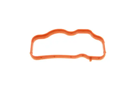 Прокладка колектора впускного Audi A4/A6/Q7/VW Touareg 2.7/3.0TDI 05-11 SOLGY 113014