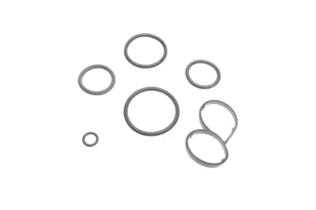 Прокладка радіатора масляного Citroen 1.6HDi 13-15/VW Touareg 4.2 02-06 (К-кт) SOLGY 113017