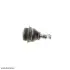 Опора кульова (передня/знизу) Citroen Berlingo/Peugeot Partner 1.4-2.0HDi 08- SOLGY 203021 (фото 8)