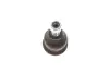 Опора кульова (передня/зверху) Honda Accord VI 1.6-2.3 16V 97-03 SOLGY 203137 (фото 4)