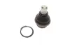 Опора кульова (передня/знизу) Nissan Navara/Pathfinder 04-14 SOLGY 203156 (фото 1)