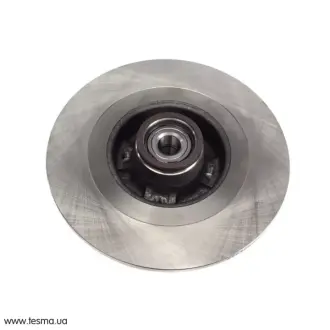 Диск гальмівний (задній) Renault Scenic II 03- (270х10) (+ABS) (з підшипником) SOLGY 208032
