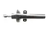 Амортизатор (передній) Ford Mondeo III 00-07 (Gas) SOLGY 211332 (фото 5)