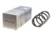Пружина (передня) Renault Scenic II/Grand Scenic II 1.9dCi/2.0dCi 03-09 (вен) SOLGY 212087 (фото 2)