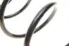 Пружина (передня) Renault Scenic II/Grand Scenic II 1.9dCi/2.0dCi 03-09 (вен) SOLGY 212087 (фото 4)