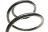 Пружина (передня) Ford Mondeo III 2.0-2.2TDCi/TDDi/DI 00-07 (седан/унив/нак.зад.ч)(без спорт.ход.ч) SOLGY 212090 (фото 2)