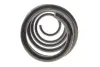 Пружина (передня) VW Passat B6/B7 1.4-1.8TSI/2.0FSI 05-14/Skoda SuperB 1.4TSI 08-15 SOLGY 212142 (фото 4)