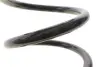 Пружина (задня) Nissan Qashqai 1.5dCi/1.6/dCi/2.0/dCi 07-14 SOLGY 212147 (фото 3)