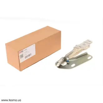 Петля капота, правая SOLGY 306053