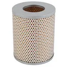 air filter, primary. фильтр воздушный, основной SOTRAS SA6715