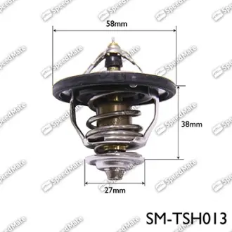 Термостат SPEEDMATE SMTSH013