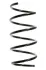 Пружина ходовой части SPIDAN 49719 (фото 1)
