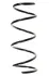 Пружина ходовой части SPIDAN 49791 (фото 1)