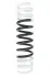 Пружина ходовой части SPIDAN 85053 (фото 1)