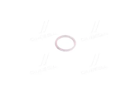 Кільце Натяжника ланцюга SSANGYONG 007603022100