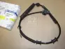 Датчик ABS передній Actyon. Kyron. Actyon Sports (вир-во SsangYong) SSANGYONG 4892009000 (фото 1)