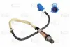Лямбда зонд Ford Focus 1.6 Ti 04-20 STARTVOLT VSOS1081 (фото 1)