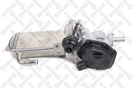 Клапан EGR (рециркуляції відпрацьованих газів) STELLOX 0125229SX