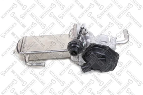 Клапан EGR (рециркуляції відпрацьованих газів) STELLOX 0125230SX