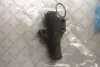 Натяжитель ремня, клиновой зубча STELLOX 0340549SX (фото 1)