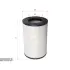 Фильтр SURE FILTER SFA0306P (фото 1)