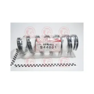 Пружина передня передня (кратно 2) TANGUN S44001