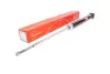 Амортизатор, ходова частина TASHIKO G43411 (фото 1)