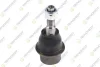 DODGE Кульова опора нижн. передн. RAM 1500 06- TEKNOROT DO365