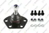 FIAT кульова опора з кріпленням! нижн. 16x1,5 Ducato 94-Peugeot Boxer TEKNOROT F762K (фото 1)