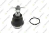 Автозапчасть TEKNOROT FO1075