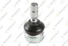 FORD кульова опора Mustang 05- TEKNOROT FO635