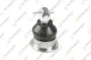 HONDA кульова опора предн.верхн.M12x1.25 Accord VIII 08- TEKNOROT H365