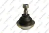 DB кульова опора верхнього важеля W202/210 93- TEKNOROT M154