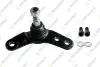 BMW кульова опора (к-кт) прав.Mini 01- TEKNOROT MN108K (фото 1)