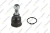 NISSAN кульова опора лів./прав.Micra 92- TEKNOROT N434