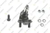 TOYOTA кульова опора (к-кт) нижн.прав.Camry 06- TEKNOROT T214K (фото 1)