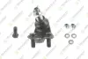TOYOTA кульова опора (к-кт) нижн.лів.Camry 06- TEKNOROT T215K (фото 1)